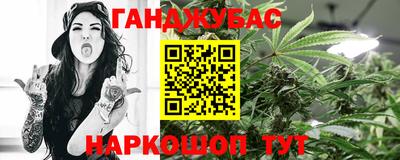 шишки Дубна