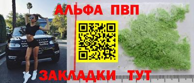 шишки Дубна
