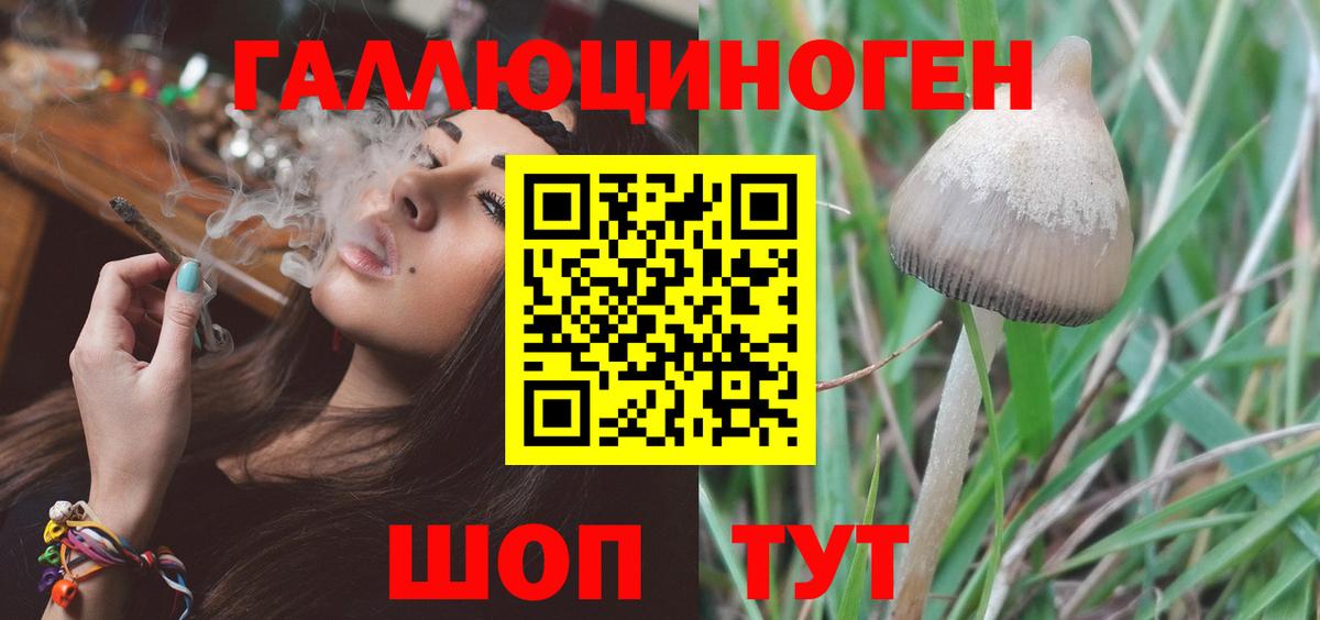Галлюциногенные грибы мицелий Армавир